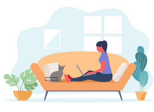 cat-room